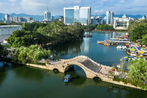 榕城福州 讓森林走進(jìn)城市 用綠色擁抱世遺