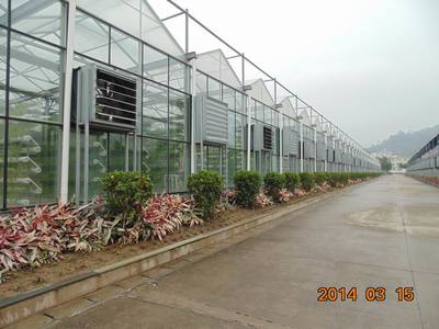 福州福建水稻工廠化機(jī)插育秧溫室:想建福建水稻工廠化機(jī)插育秧溫室就到黑土農(nóng)科,廈門市黑土農(nóng)業(yè)科技產(chǎn)品展示-中華嬰童網(wǎng),中國(guó)孕嬰童行業(yè)電子商務(wù)首選平臺(tái)