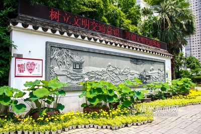 愛(ài)上福州城:茶亭公園初夏 那一抹荷之綠