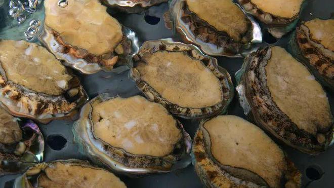 【品牌展播】中國地理標志農產品品牌展播(福建福州篇-下)